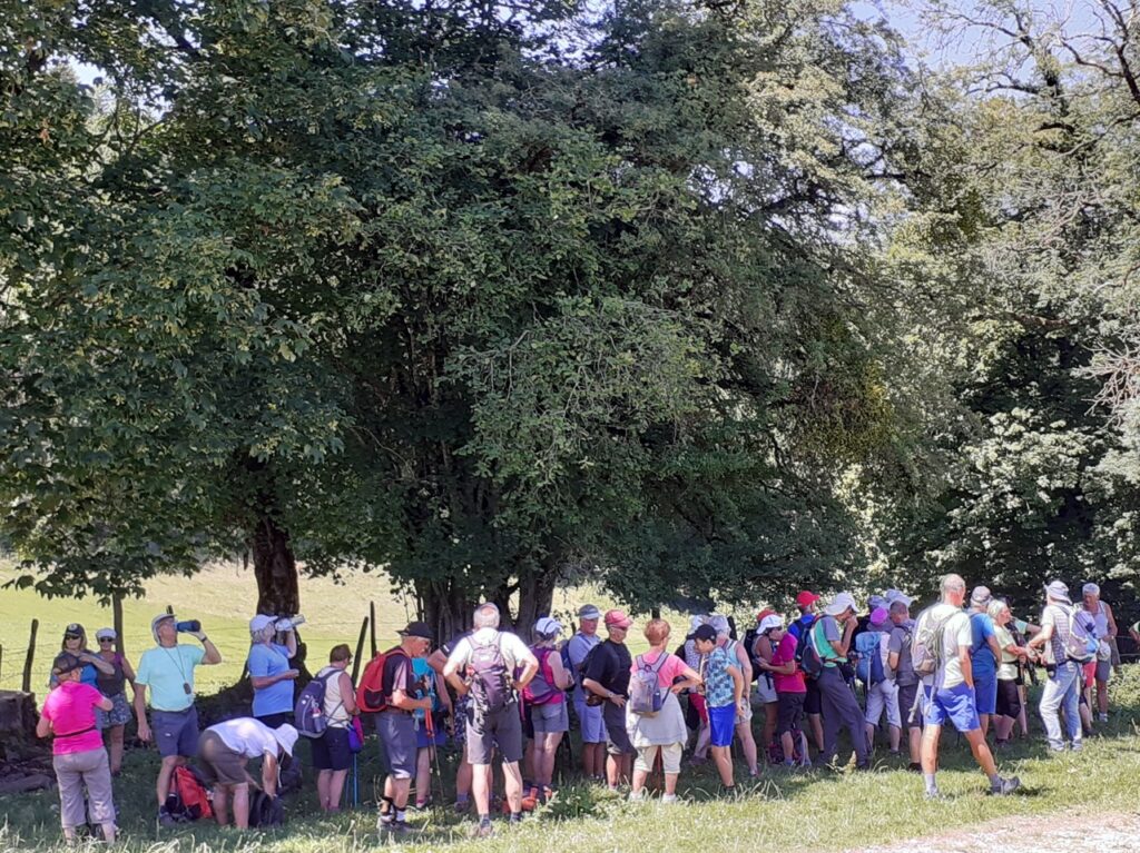 2022-07-15 - Randonnée Montandon - La Pause