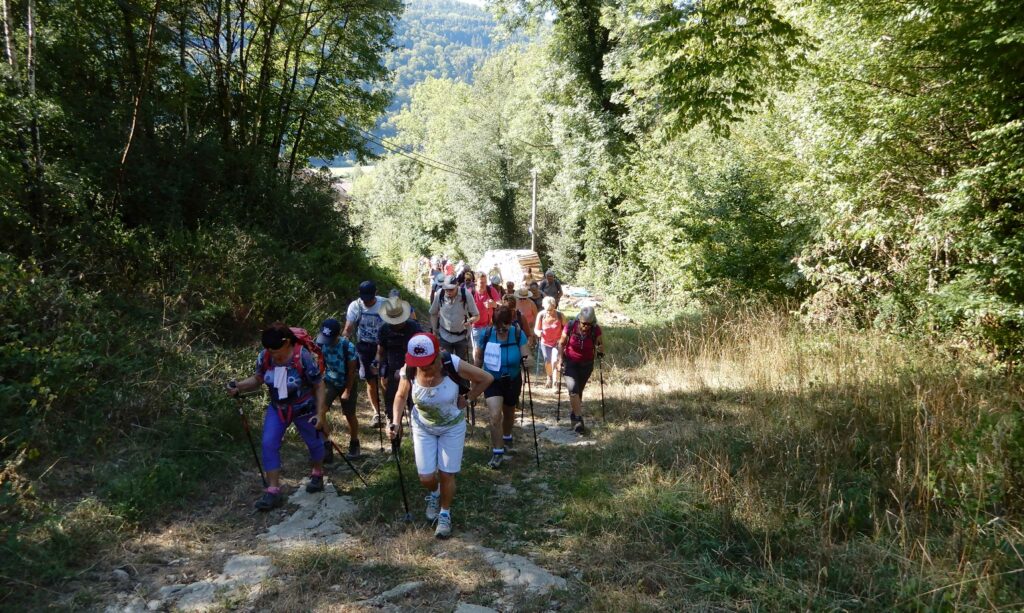 DSCN4060 c'est parti