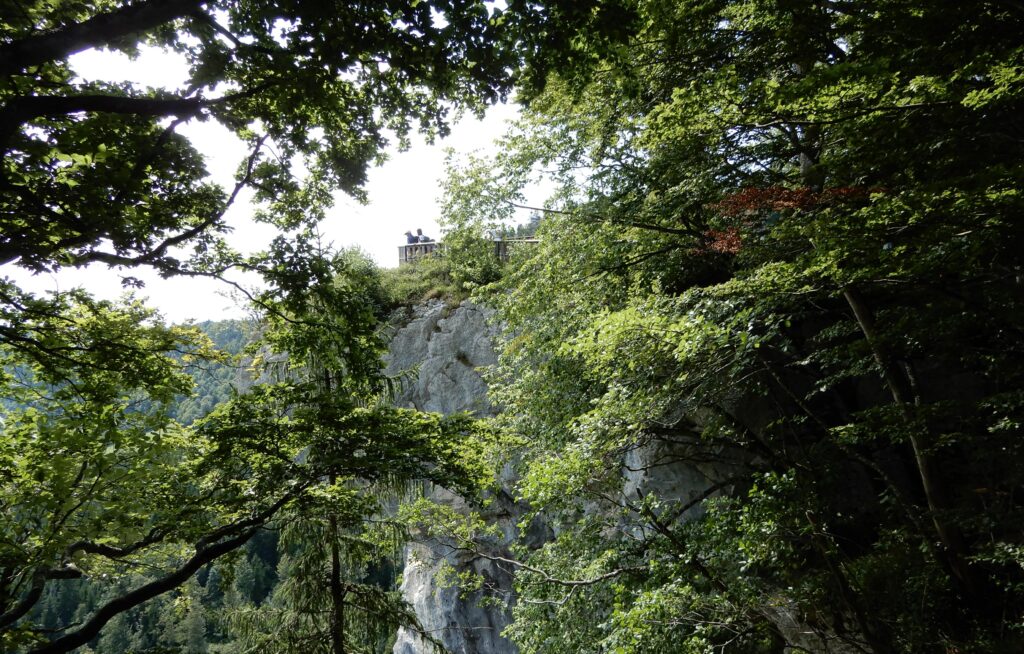 rando St Hip 6 aout 952 belvédère de la Cendrée